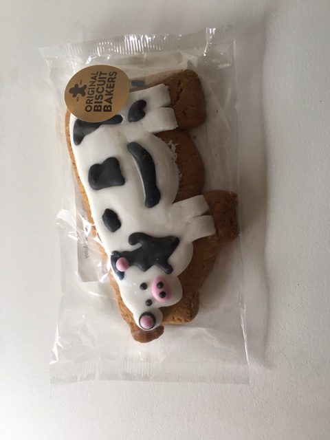 Image on Food GingerBread Cow Biscuit