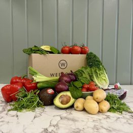 Salad Box - Large