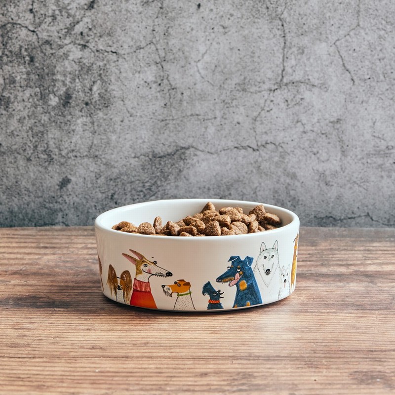 FROM WAGS TO WHISKERS DOG BOWL MEDIUM