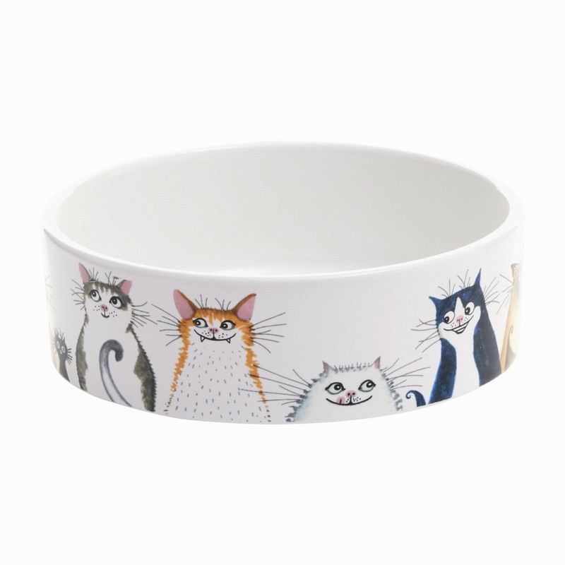 FROM WAGS TO WHISKERS CAT BOWL