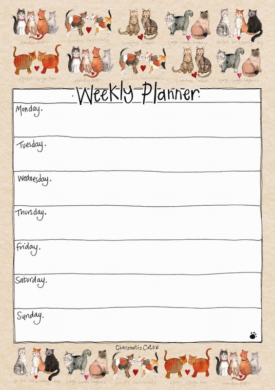 ALEX CLARK CHARISMATIC CATS WEEKLY PLANNER