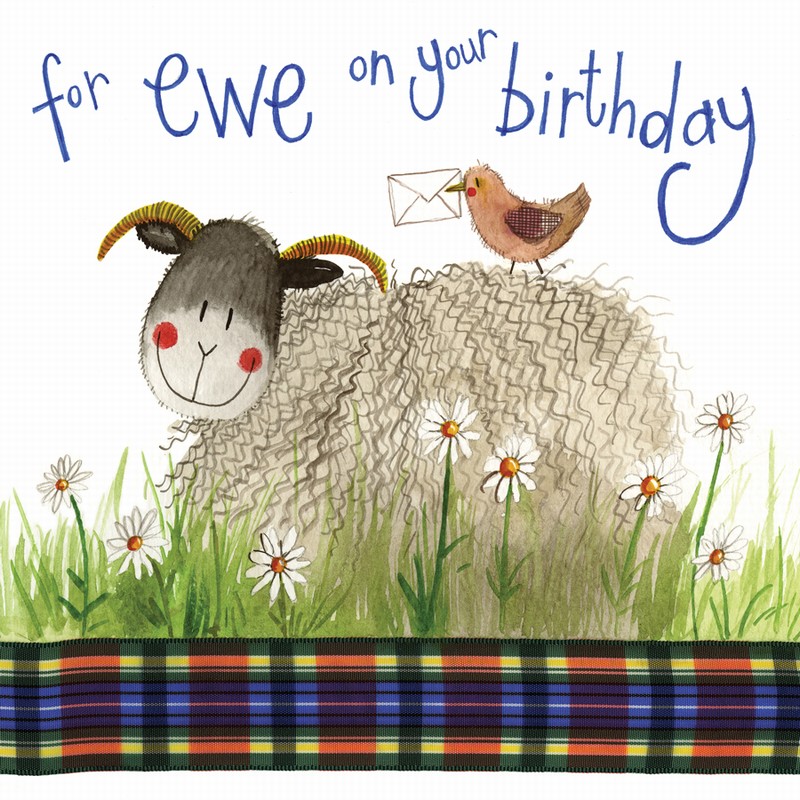 ALEX CLARK SHEEP BIRTHDAY CARD