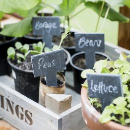 GARDEN TRADING GREENHOUSE TAGS WITH CHALK - SET OF 6