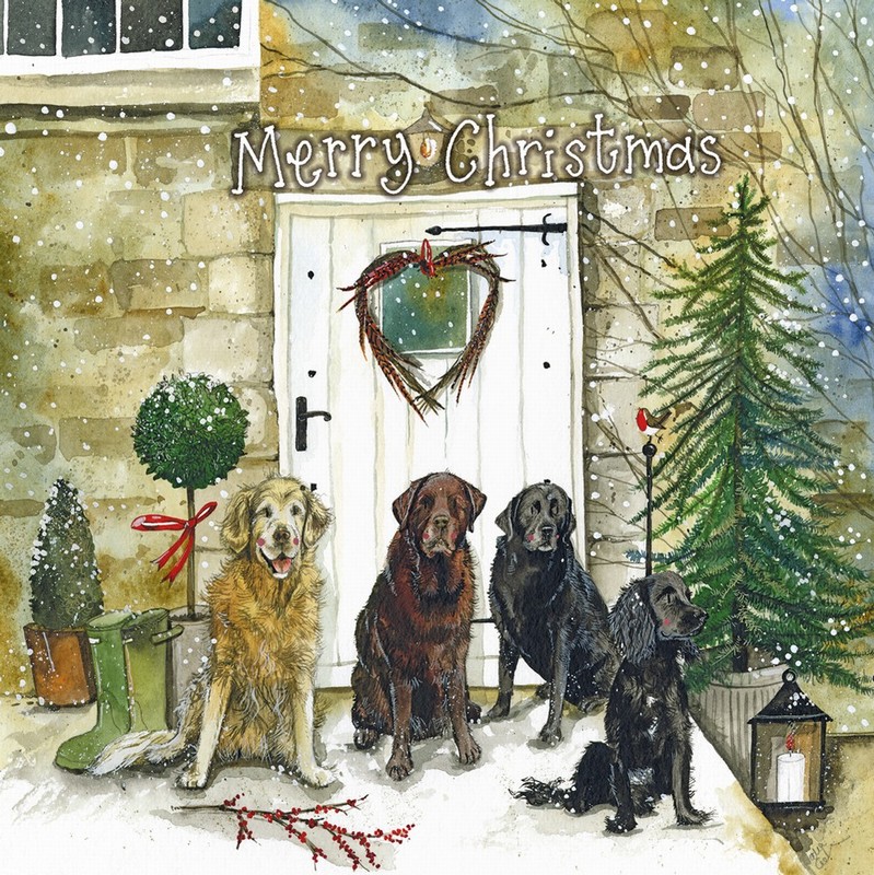 ALEX CLARK CHRISTMAS DOGS BOXED CARDS SET OF 8