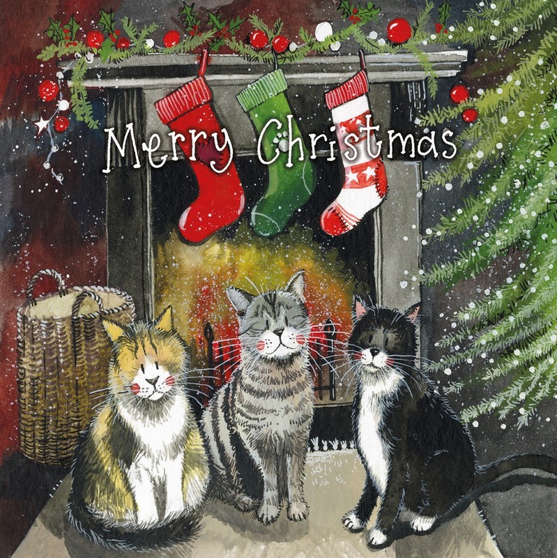 ALEX CLARK CHRISTMAS CAT BOXED CARDS SET OF 8