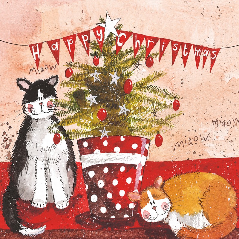 ALEX CLARK CATS & CHRISTMAS TREE BOXED CARDS SET OF 8